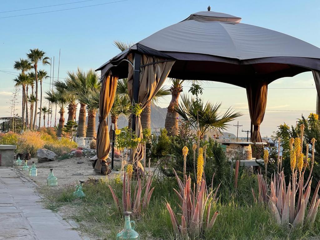 Hotel Las Palmas سان فيليبي المظهر الخارجي الصورة