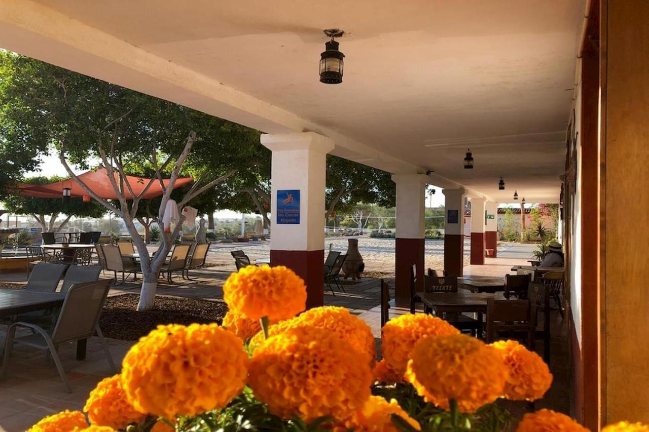 Hotel Las Palmas سان فيليبي المظهر الخارجي الصورة